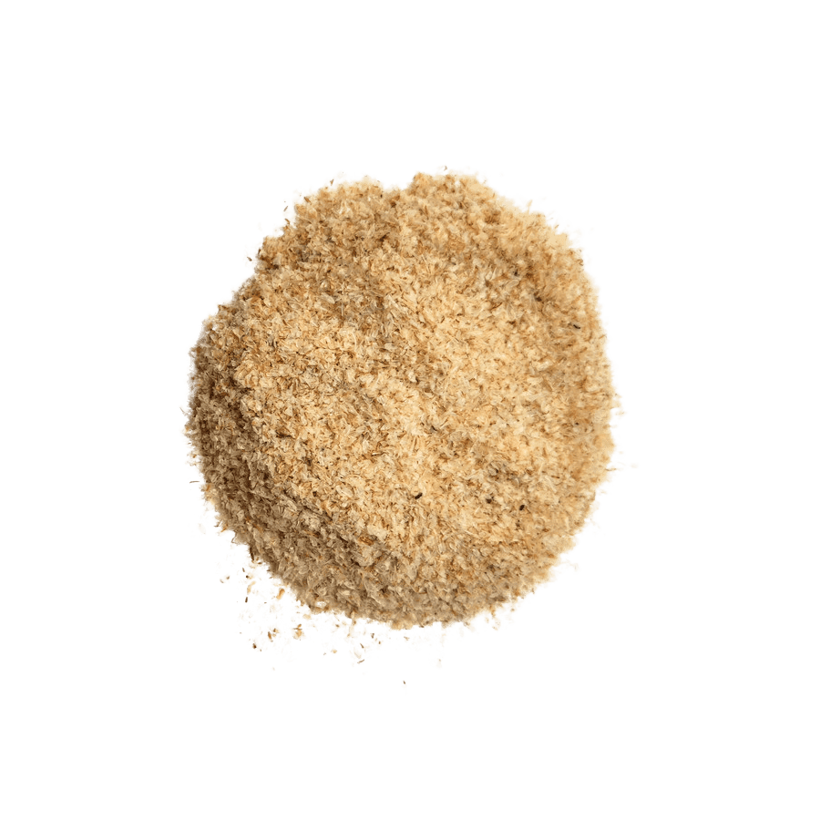 Tégument de psyllium bio
